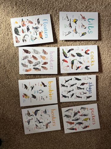 Customer photo review of Boxed Set of 8 Bird Pun Cards