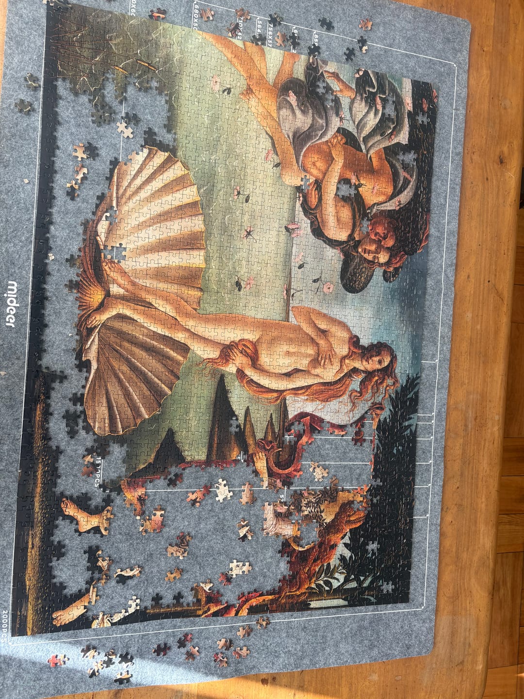 Customer photo review of Puzzle 2000 Piezas - The Birth of Venus by Sandro Botticelli