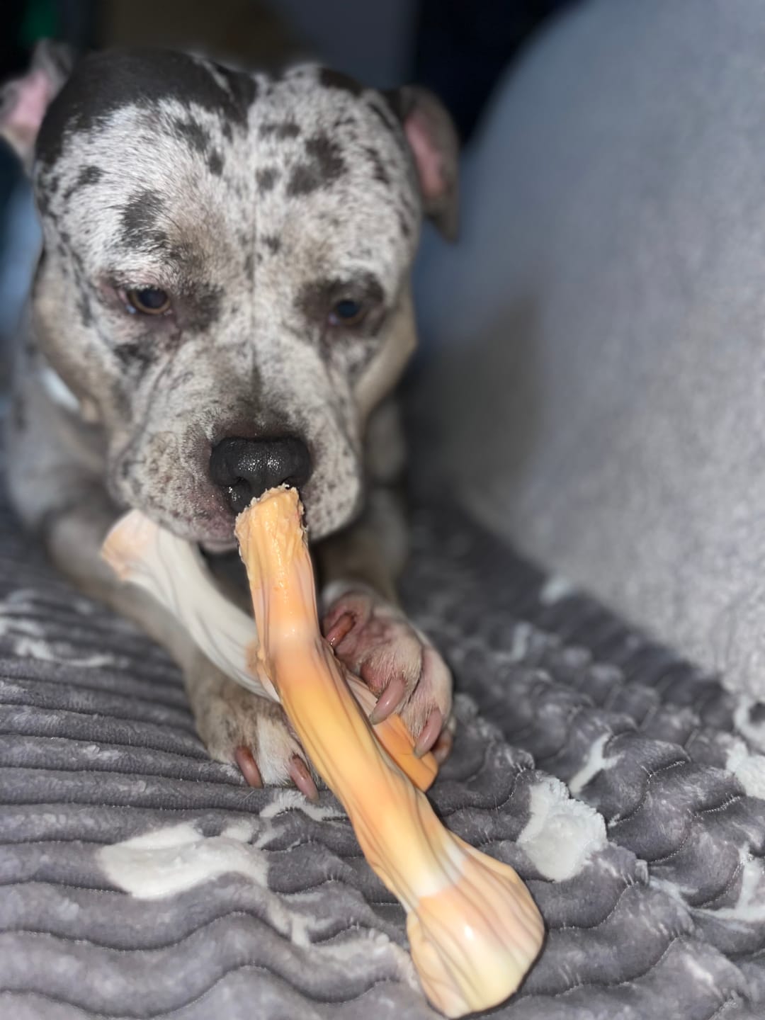 Customer photo review of Pupco Nylon Chew Stick