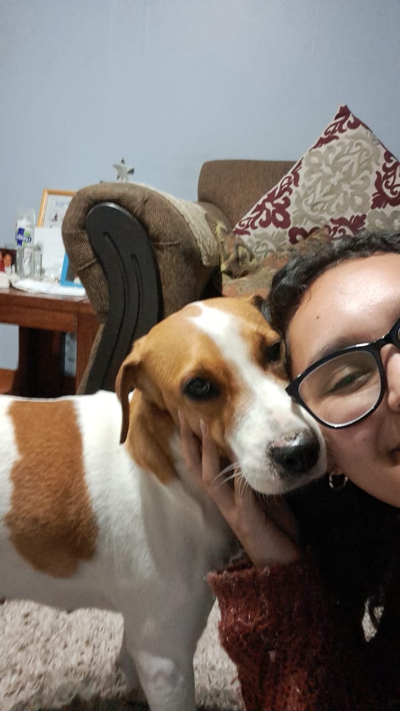 Customer photo review of PetFamily Cookies