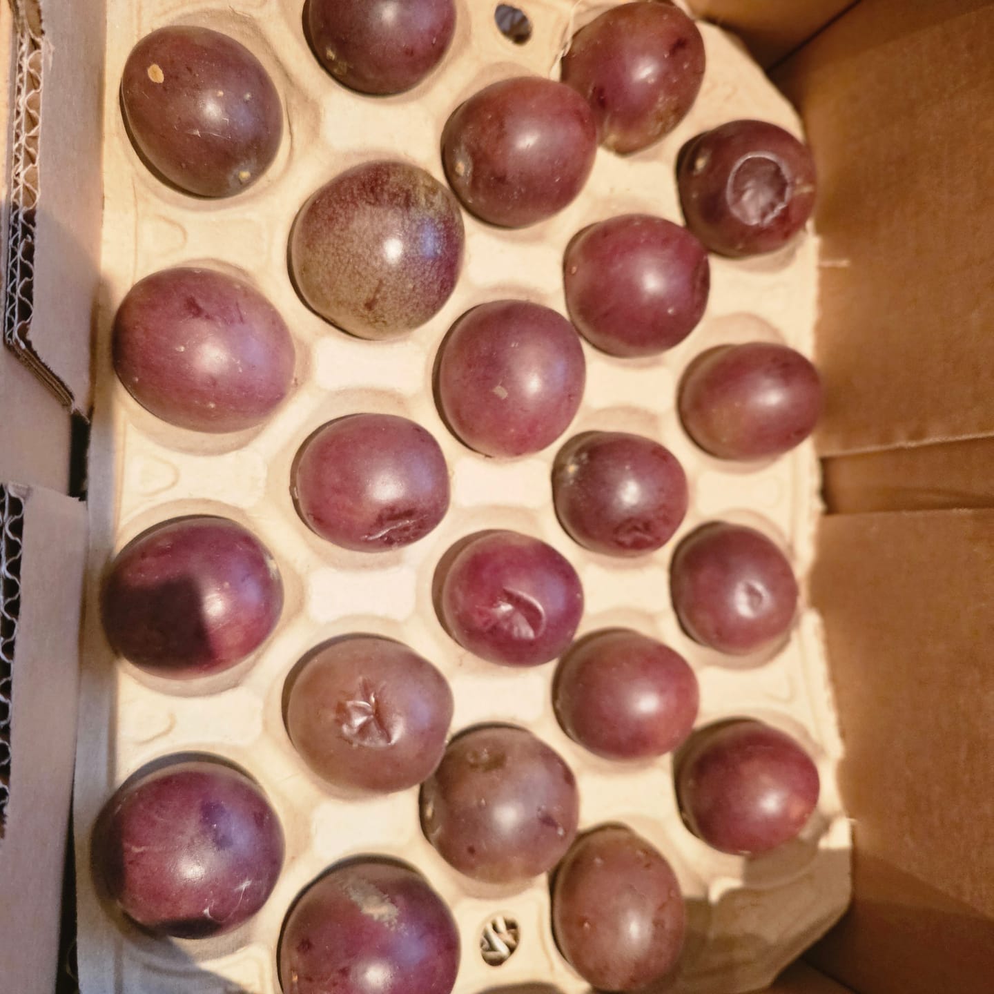 Customer photo review of Passionsfrüchte rot Bio von Salvador