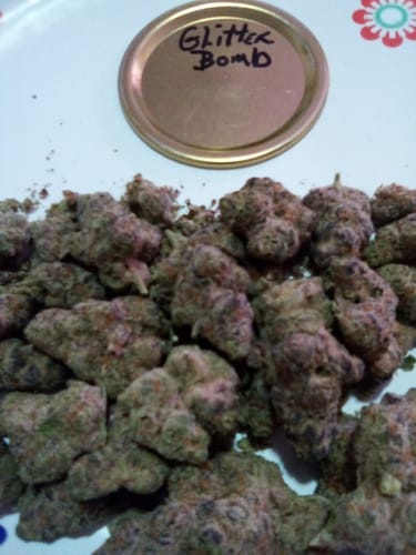 Customer photo review of Glitter Bomb - Exotic THCA (Full Size)
