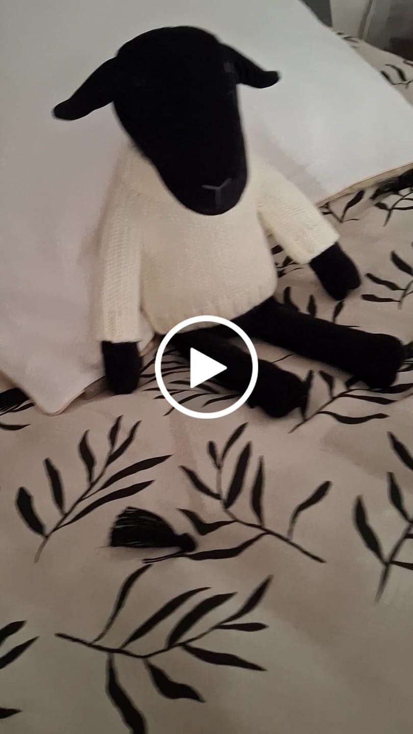 Customer video review of MAIA LA BREBIS - L