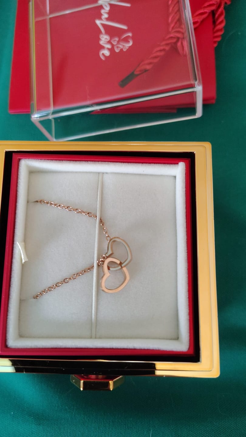 Customer photo review of Double Heart Necklace