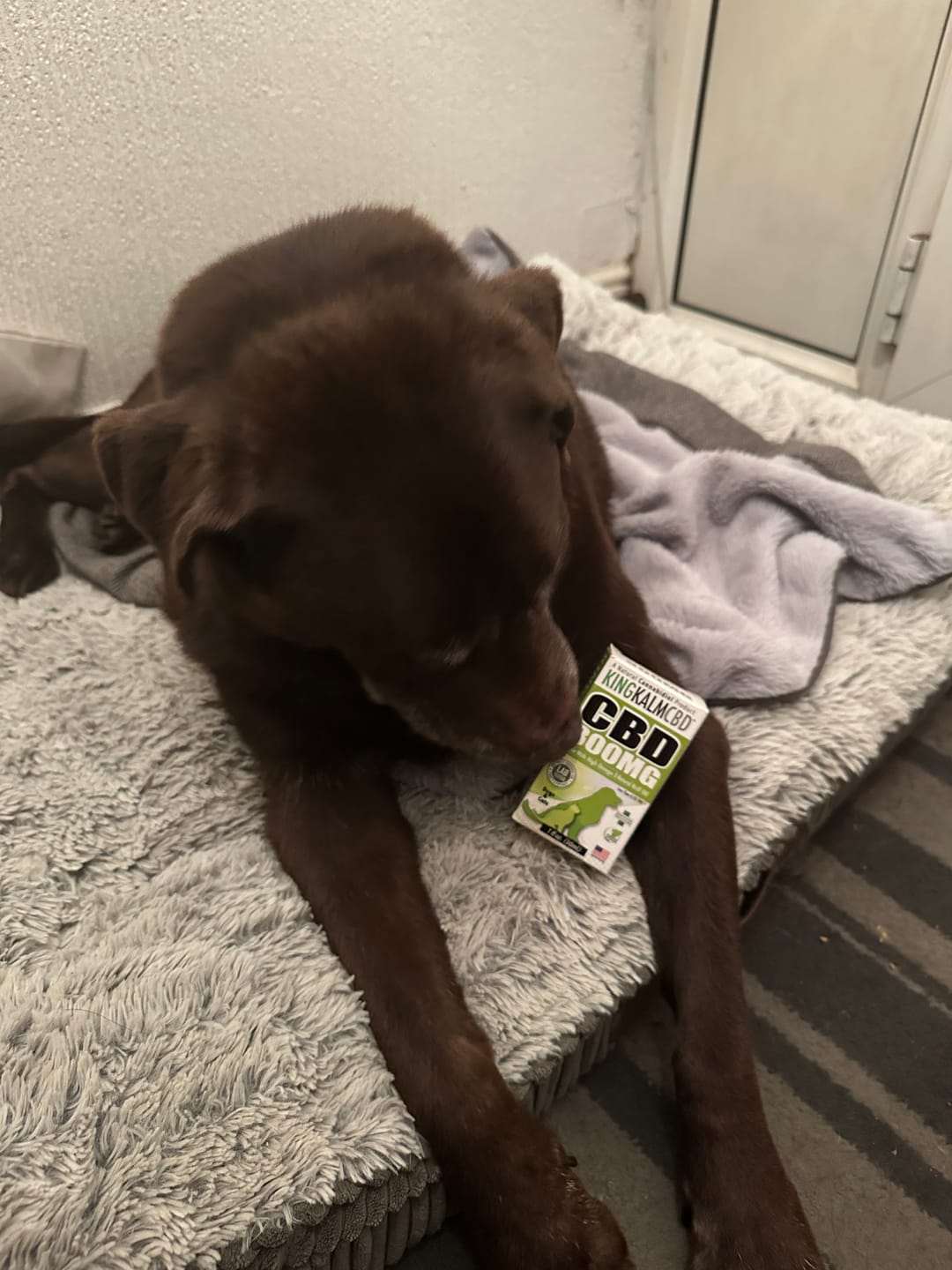 Customer photo review of KING KALM CBD 300mg - Large Pet Formula 45 to 65lbs