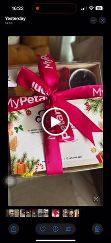 Customer video review of PADU Little Luxe Fruit Platter (Available in Klang Valley & Penang)