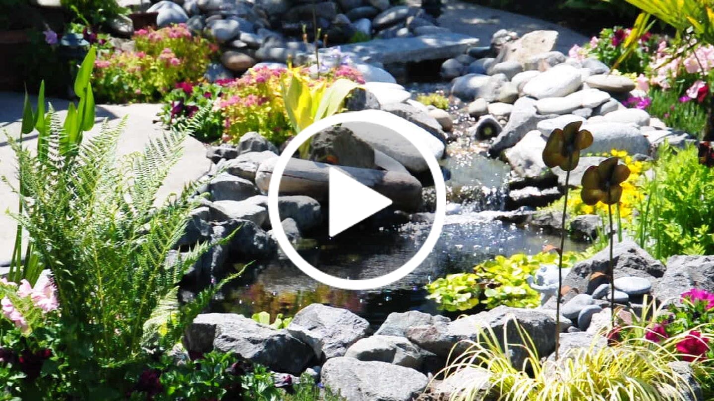 Customer video review of Pond and Rock Cleaner - Hydro Vescense™  For All Types of Ponds and Pondless Water Features