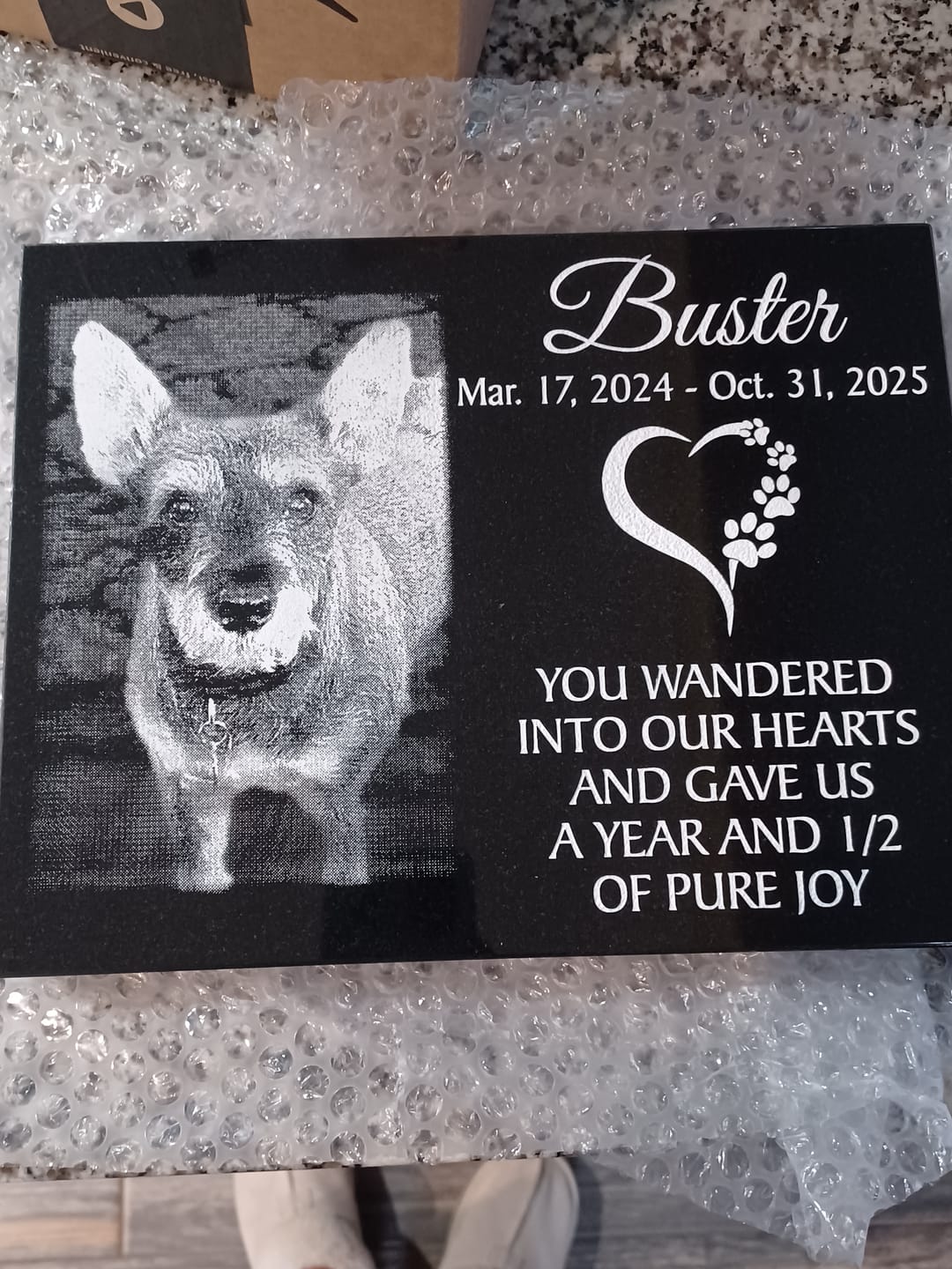 Customer photo review of Outdoor Personalized Dog Memorial Plaque You Left Pawprints On My Heart Personalized Outdoor Plaque