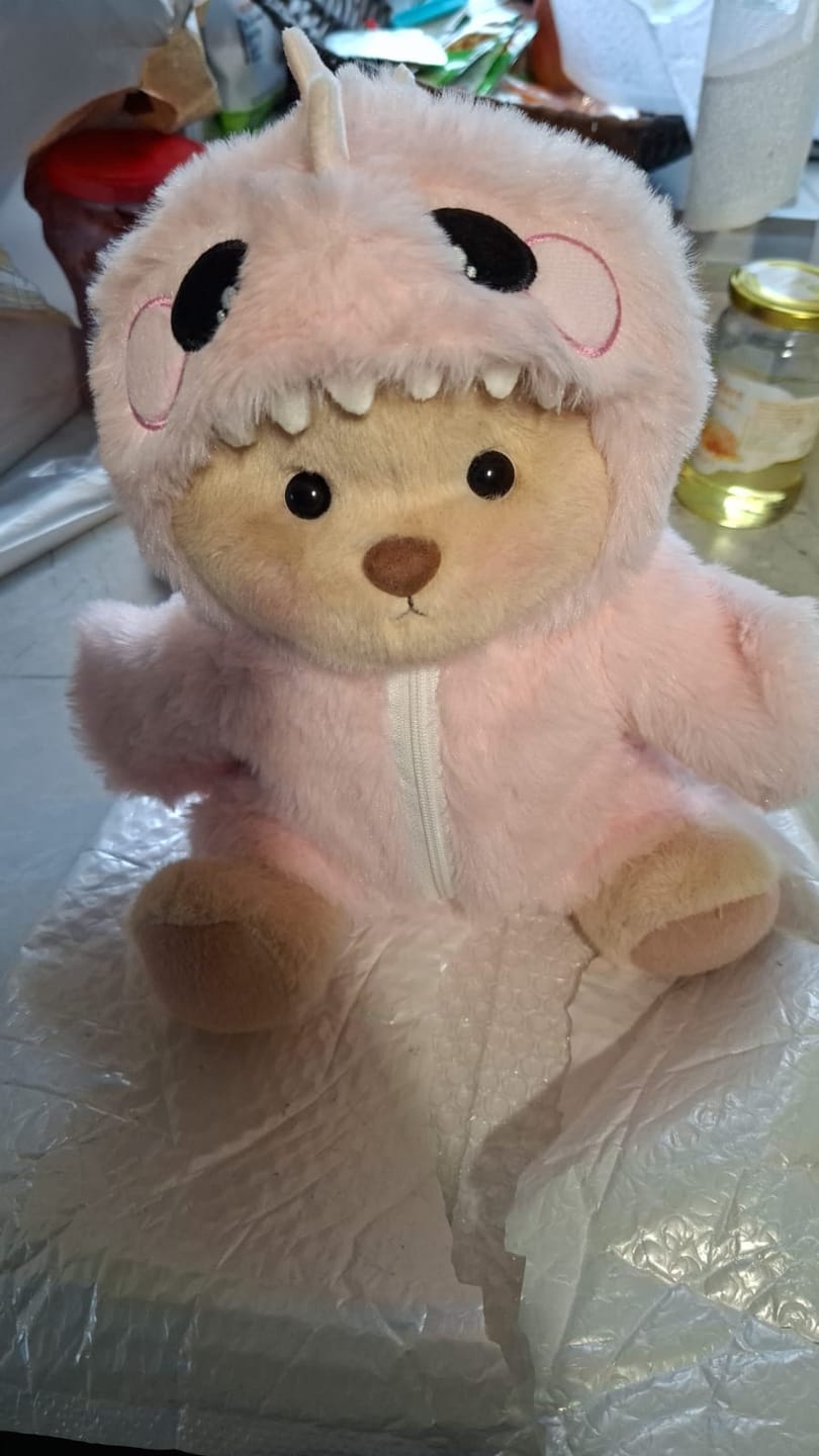 Customer photo review of Pink Dino