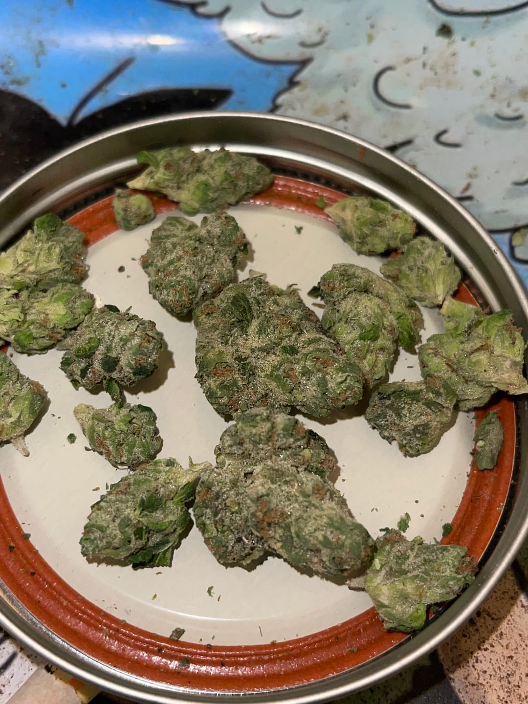 Customer photo review of Runtz THCA Flower