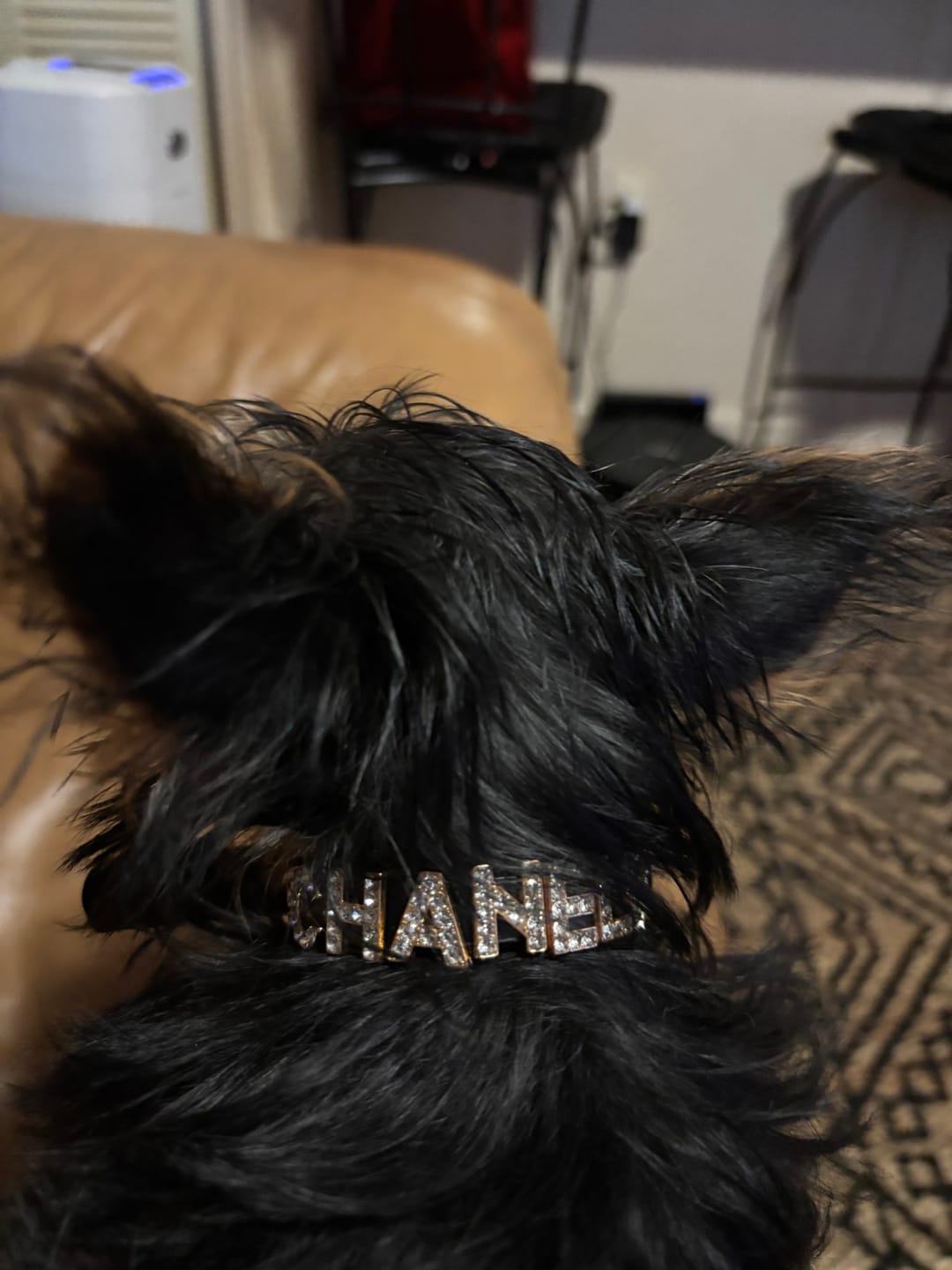 Customer photo review of Custom Engraved ID Tag