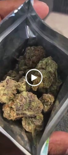 Customer video review of 9 LB Hammer Exotic THCA Flower