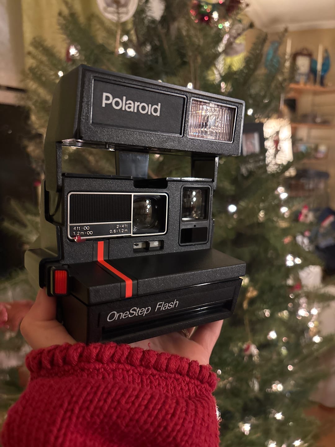 Customer photo review of Polaroid 600 Red Stripe Instant Film Camera
