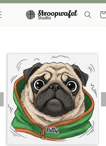 Customer photo review of Jouw Huisdier in Karikatuur Stijl als Tegel - Direct Voorbeeld