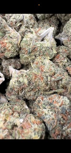 Customer photo review of Super Jack - Bulk - Hybrid