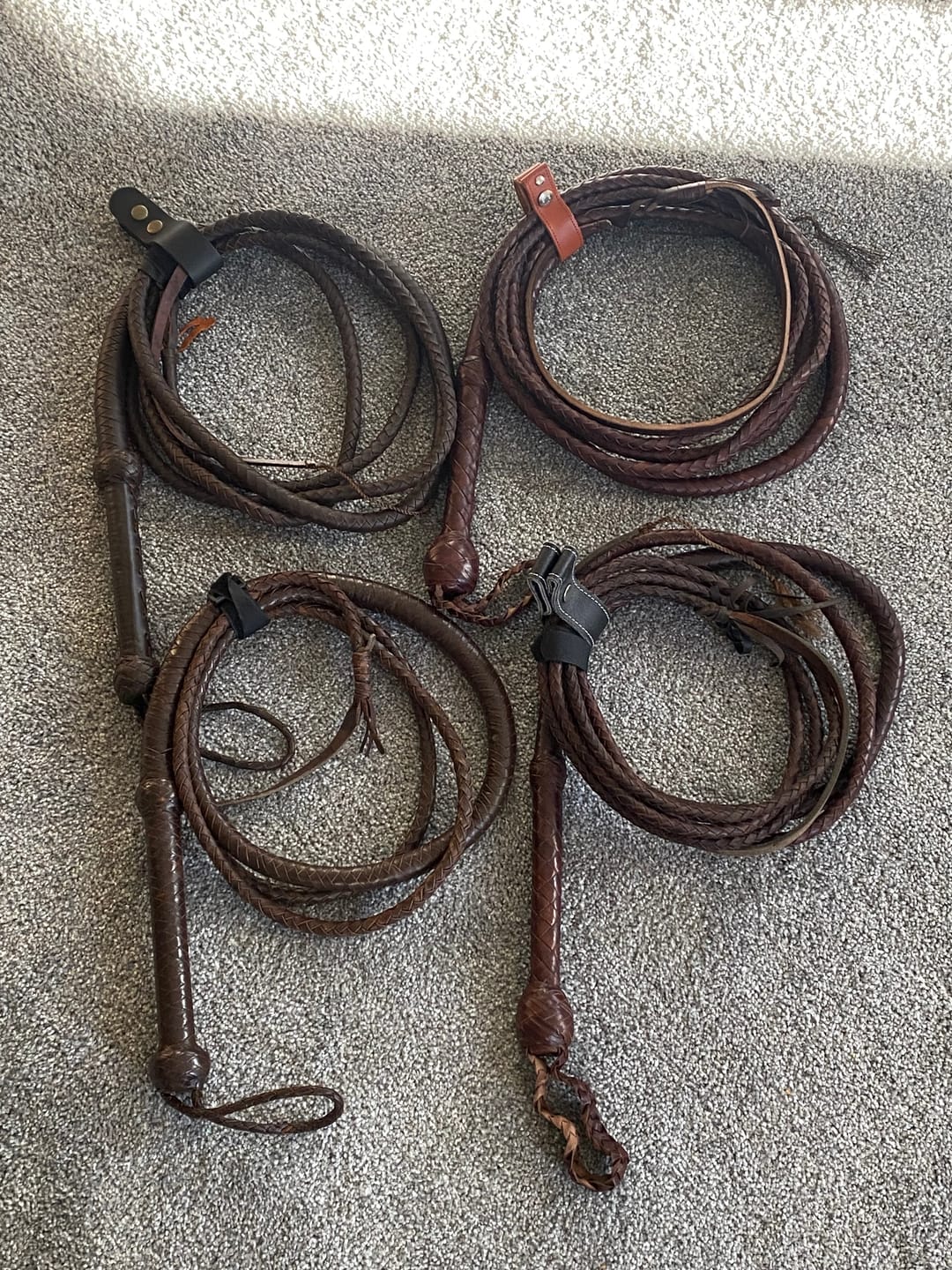 Customer photo review of Dark Brown Kangaroo Leather Bullwhip – 6 ft, 8 ft, 10 ft, 12 ft, 14 ft & 16 ft (Indiana Jones Style)