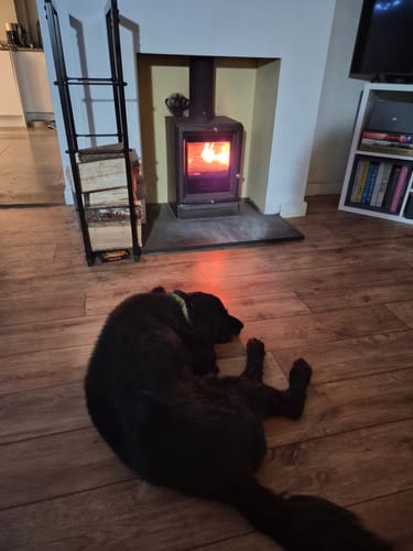 Customer photo review of Kiln Dried Oak Maxi Bag