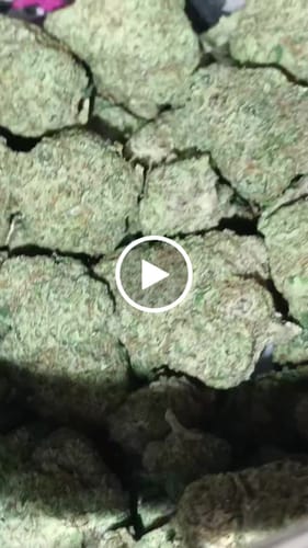 Customer video review of Mimosa - Light Dep THCA (full size) (Seeded)