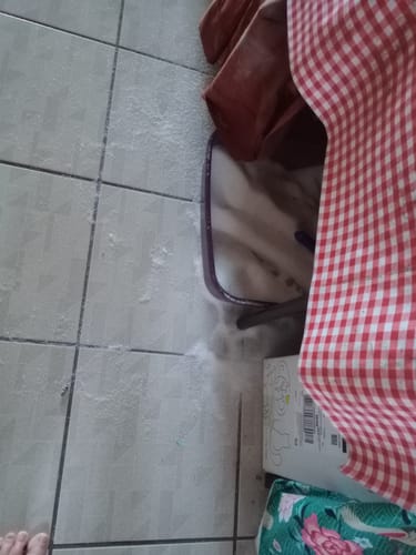 Customer photo review of 3 Month Supply - 1 Cat