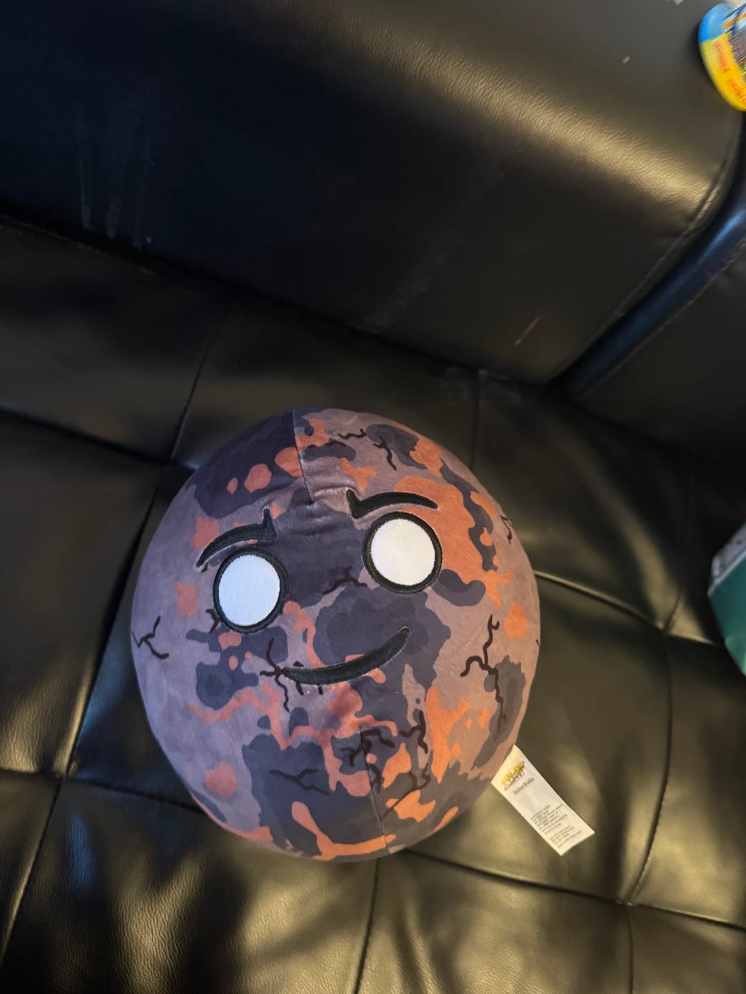 Customer photo review of The SolarBalls Proto Plush