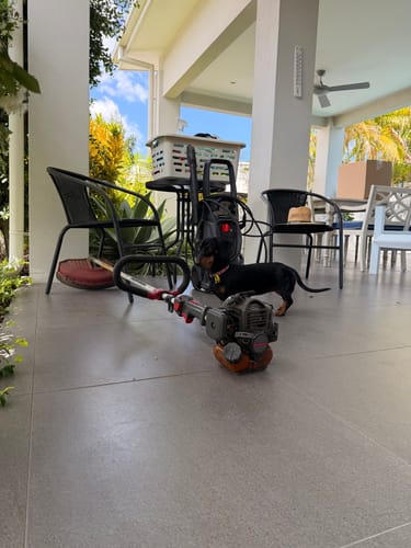 Customer photo review of Jingle Glow - RTS