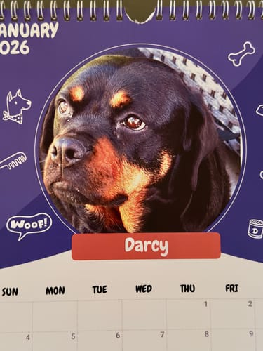 Customer photo review of Official Pupvote Cutest Pets of the Year Calendar (2026)