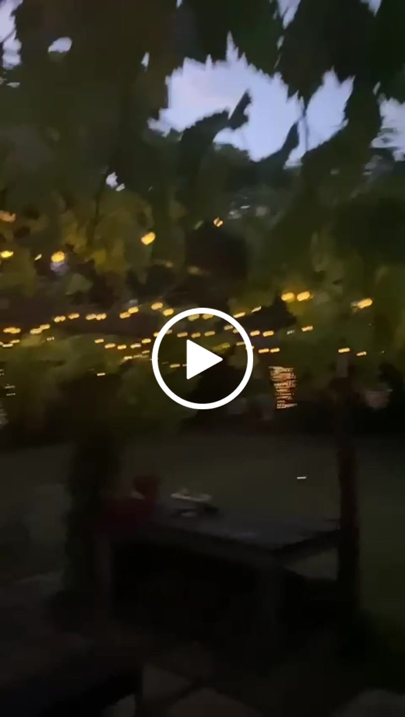 Customer video review of Black String Solar Fairy Lights