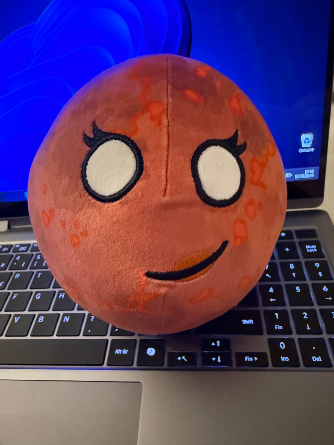 Customer photo review of The SolarBalls Theia Plush