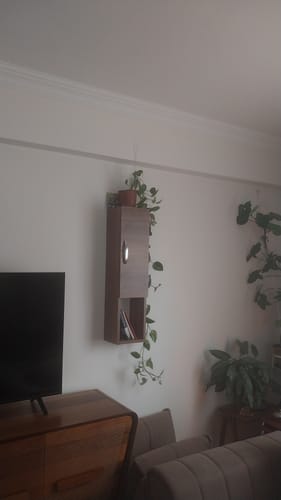 Müşterinin oturma odasında duvara monte edilmiş ceviz rengi Rani E2 kapaklı duvar rafı ve üzerinde saksı bitkisi.