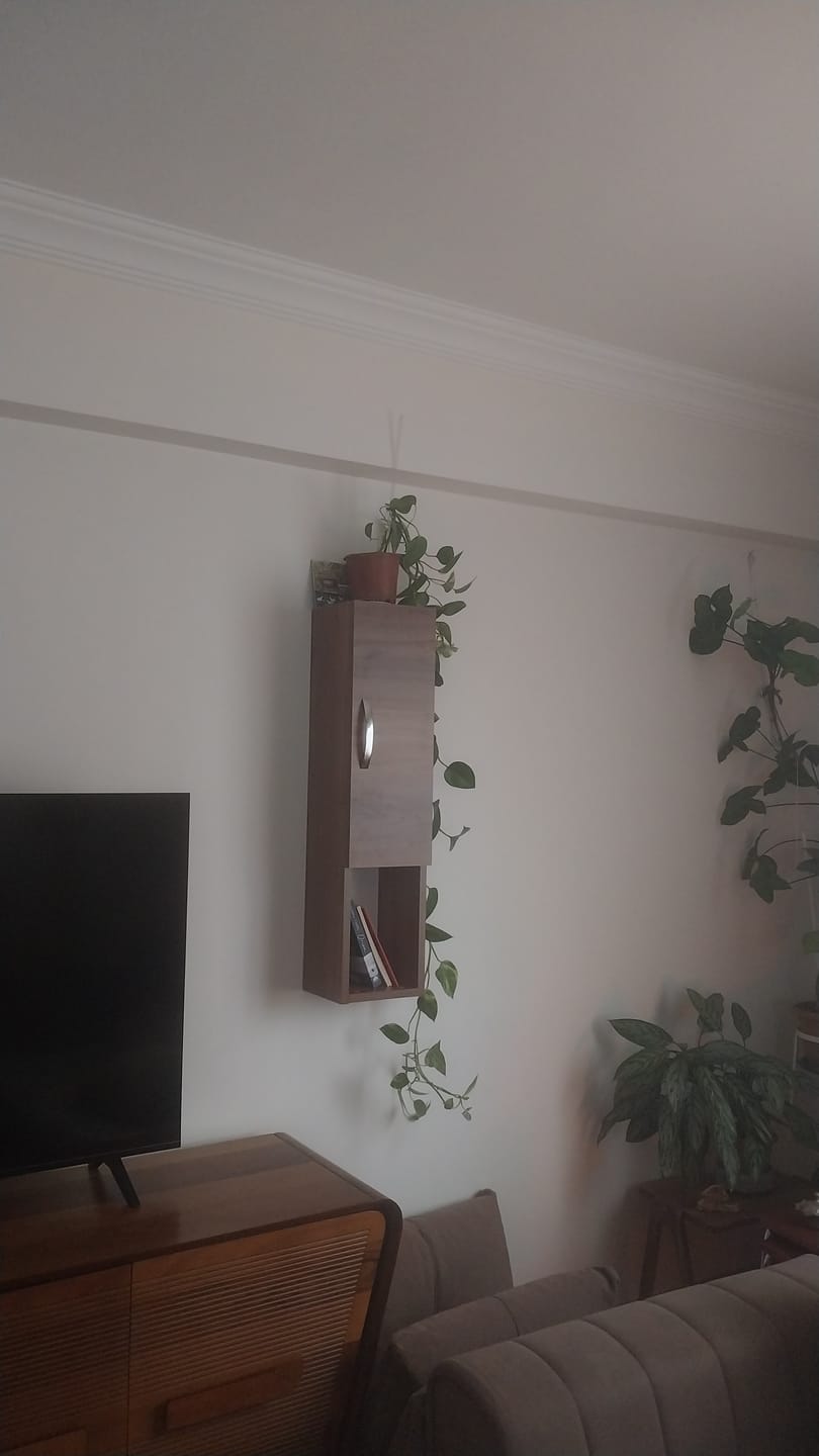Customer photo review of Rani E2 Kapaklı 3 Bölmeli  Duvar Rafı Minyatür Ceviz