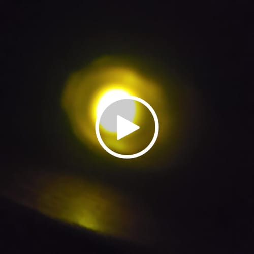 Customer video review of Lem Clitoral Massager