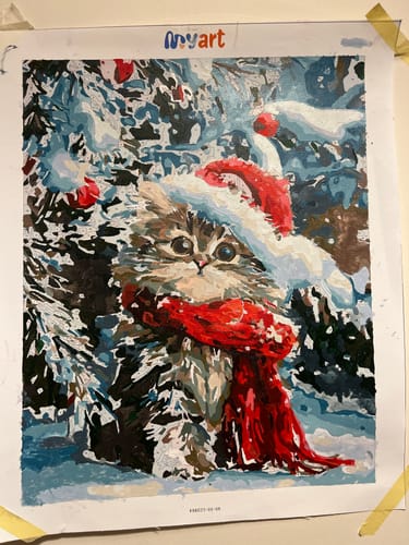 Customer photo review of Santa Cat