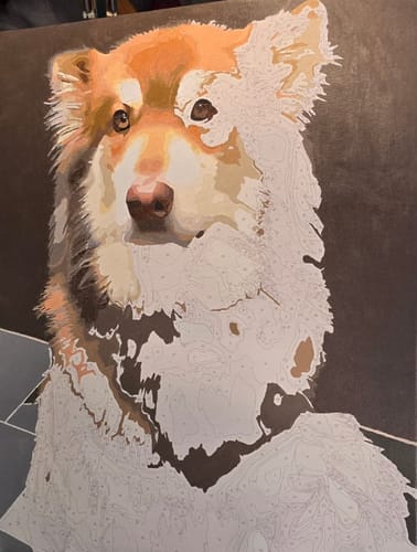 Customer photo review of Custom Pet Paint By Numbers