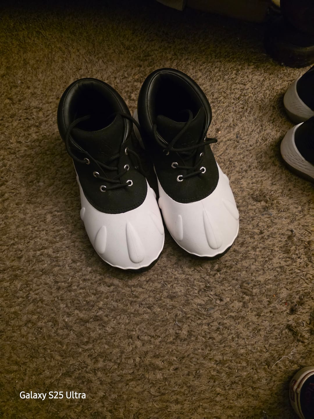 Customer photo review of Duck Lo - Tuxedo