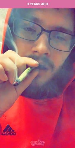 Customer photo review of Exotic Shake