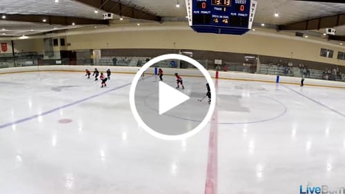 Customer video review of ZLE HOCKEY REFEREE JERSEY - LINESMAN