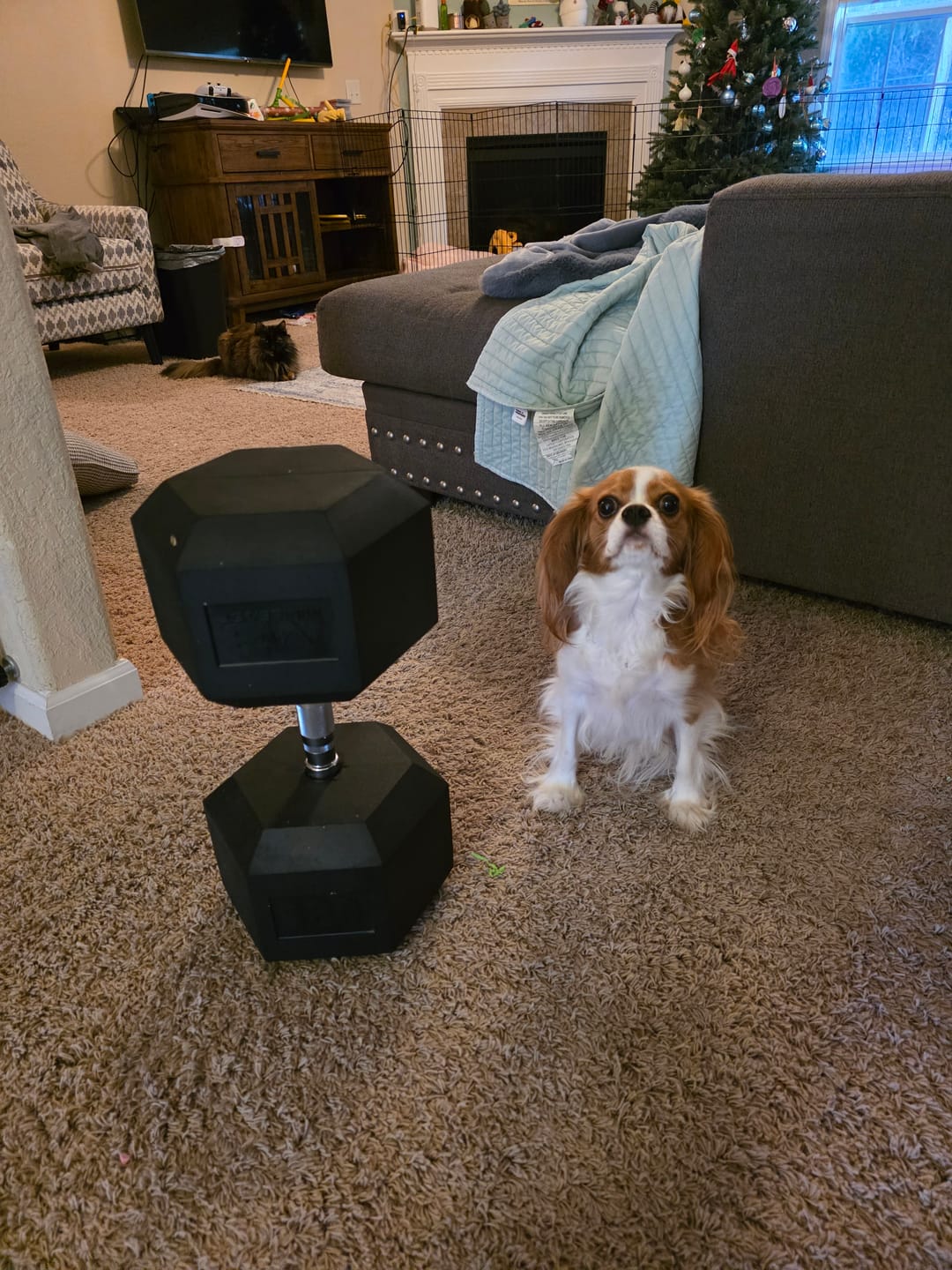 Customer photo review of MB Rubber Hex Dumbbell