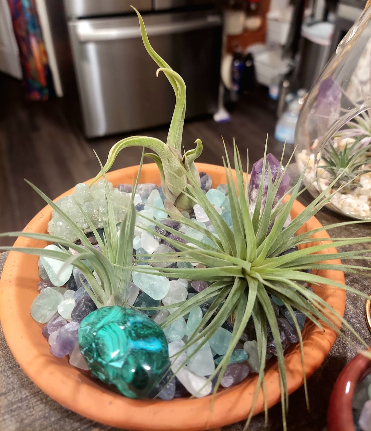Customer photo review of Caput Medusae  (Beginner Friendly!)