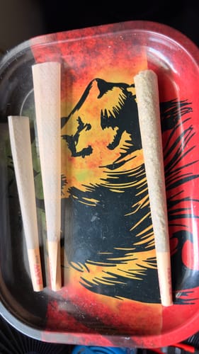 Customer photo review of Bulk Indoor THCA Smalls