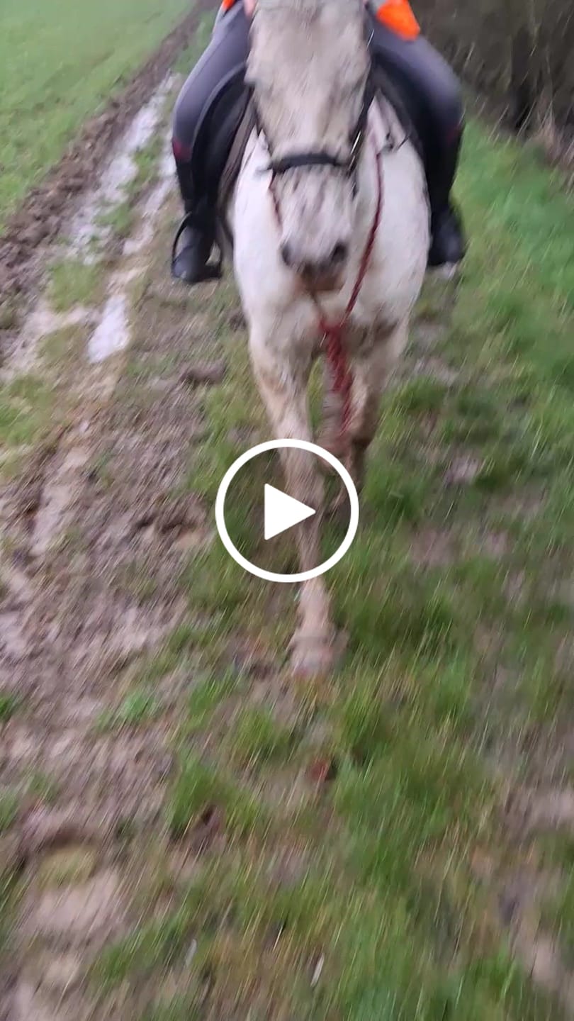 Customer video review of Renegade® Viper Shield™ Hoof Boot - Dragon Fire Red