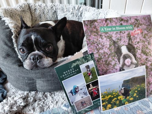 Customer photo review of 2026 Wall Calendar