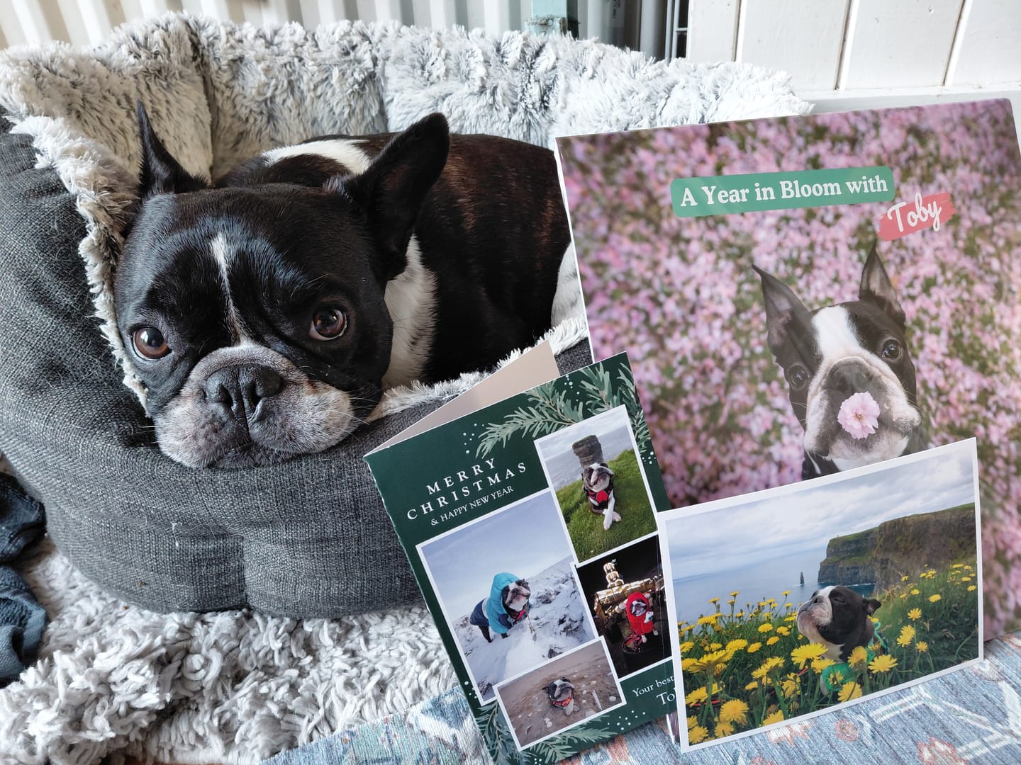 Customer photo review of 2026 Wall Calendar