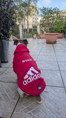 Customer photo review of Felpa "Adidog" Rossa Personalizzabile con Nome