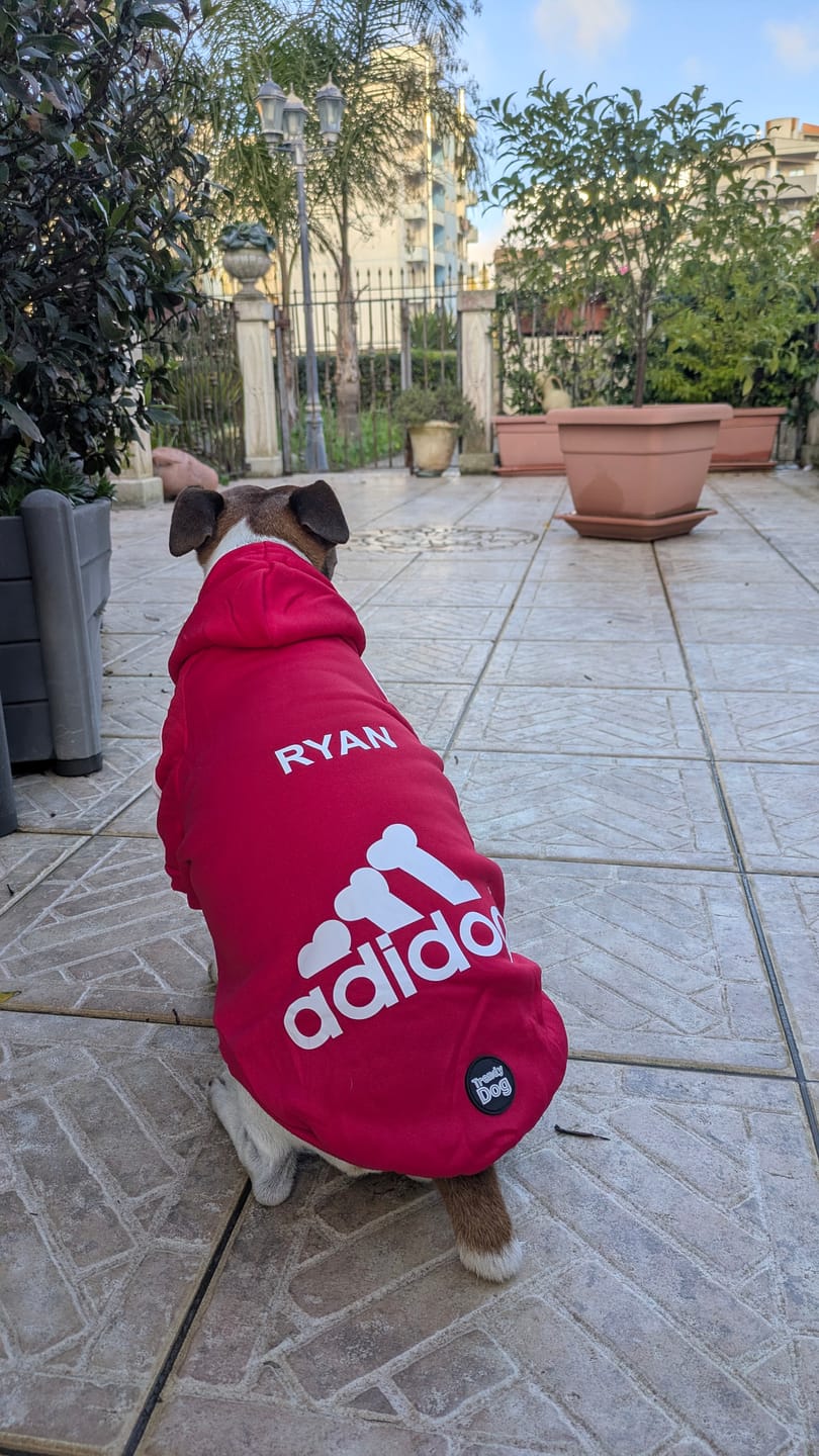 Customer photo review of Felpa "Adidog" Rossa Personalizzabile con Nome