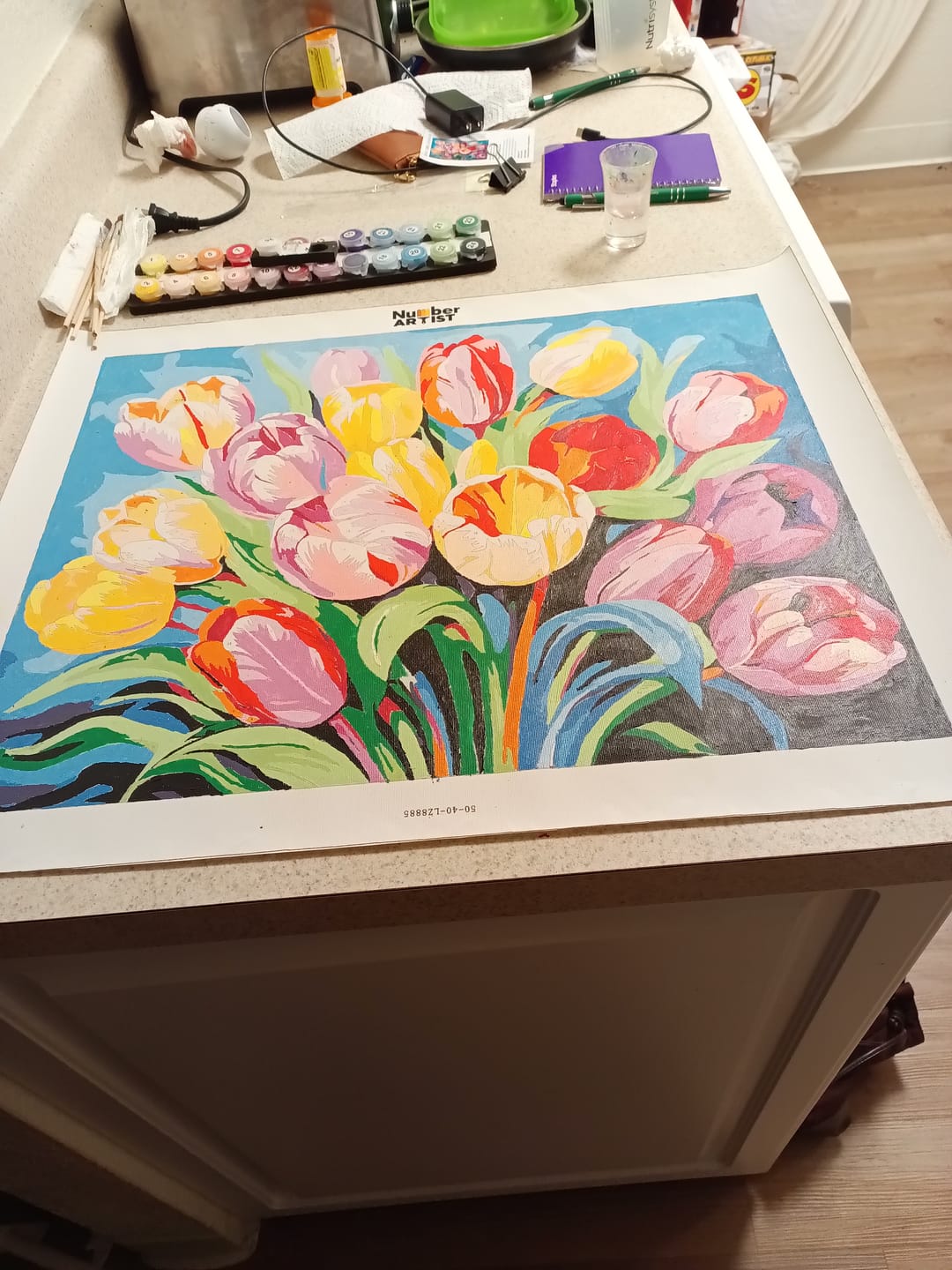 Customer photo review of Vibrant Tulip Medley