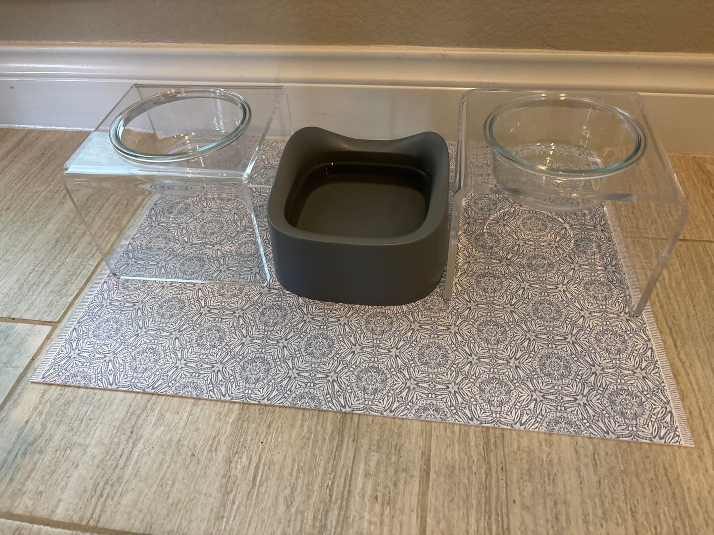 Customer photo review of Modern Acrylic Glass Bowl Feeders, Standard Style, Single Bowl