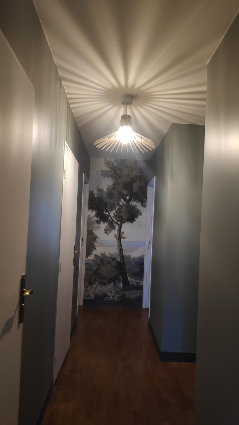 Customer photo review of Azur | Suspension