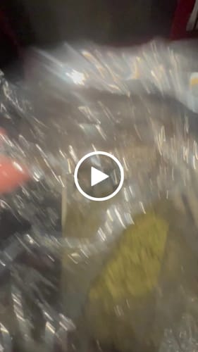 Customer video review of Purple Mendo - Bulk - Indica