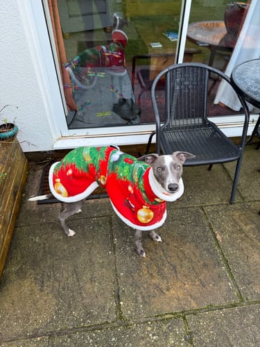 Customer photo review of Sighthound Christmas Tree Warm Fleece Coat / Jumper