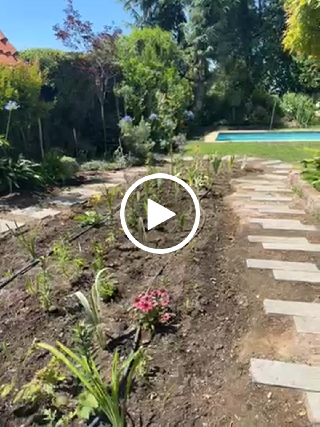 Customer video review of Tierra de diatomeas